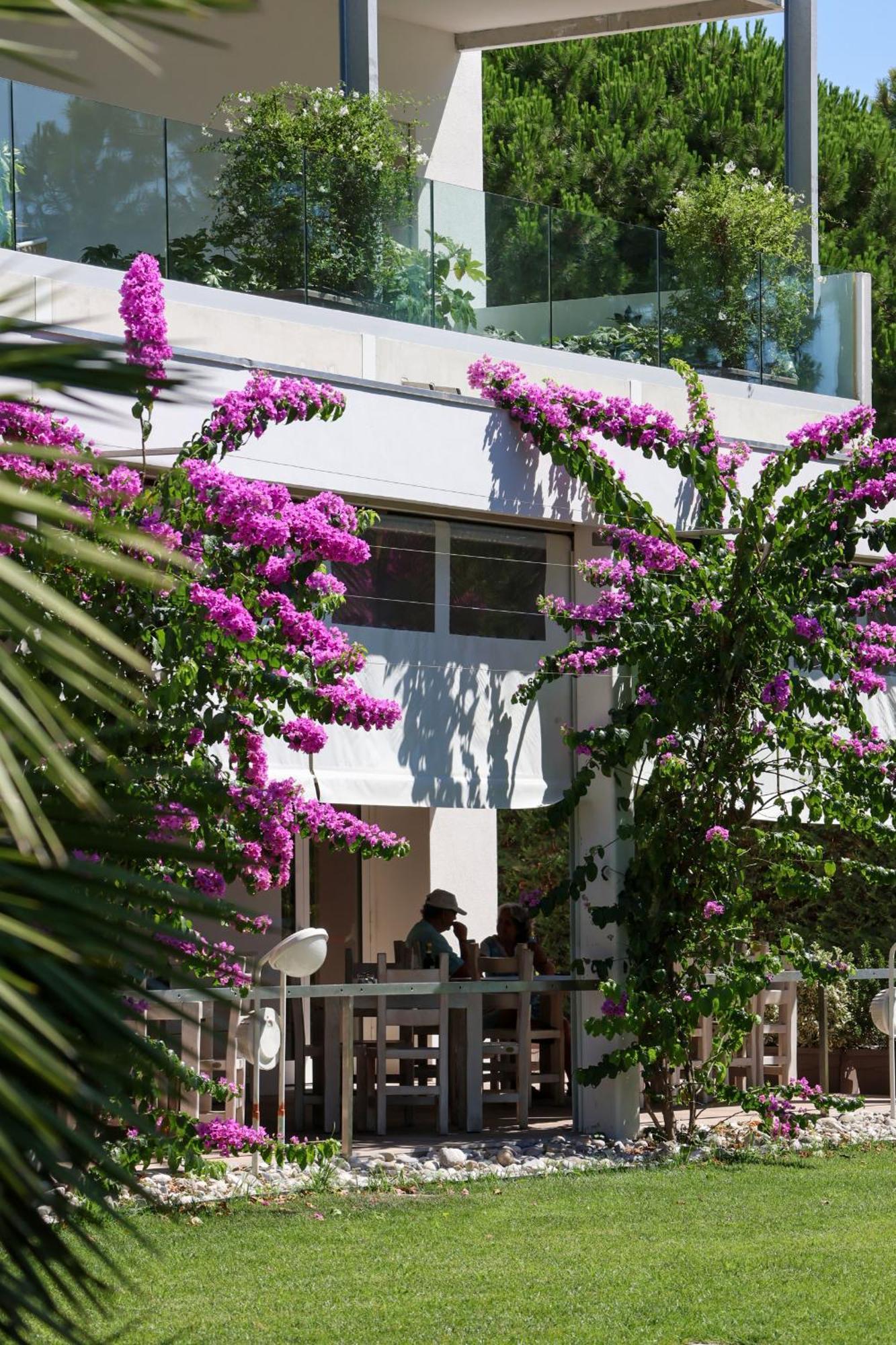 Il Tridente Hotel Μπιμπιόνε Εξωτερικό φωτογραφία